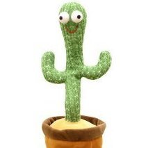 Im_Cactus